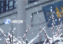 今日立冬，河南卫视台标再次更新四季台标冬季款