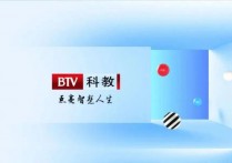 改版、扩容、升级，2021频道改革进入“更名”时代
