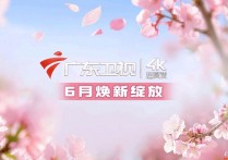广东卫视4K超高清频道 6月上线